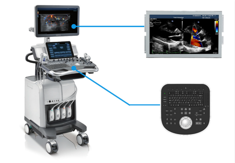 美狮贵宾会|首頁(欢迎您)